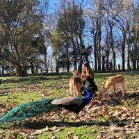 La raíz humana que se debilita en la prisa moderna