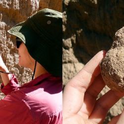 Liliana F. Cantil sosteniendo una bola de cría fósil de Scarabaeinae necrófagos del Pleistoceno Tardío de la Formación Tafí del Valle (Tucumán). 