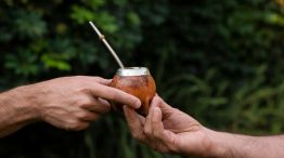 Por qué es el Día Nacional del mate en Argentina 