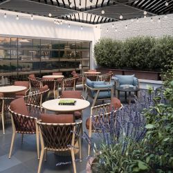 Hilton Garden Inn Mexico City Polanco