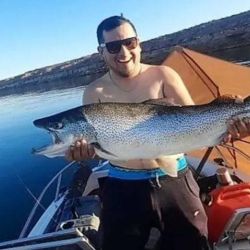 La noticia no tardó en viralizarse entre clubes, guías y grupos de aficionados, que celebraron la calidad del ejemplar y reafirmaron el atractivo que mantiene este espejo de agua del norte neuquino.