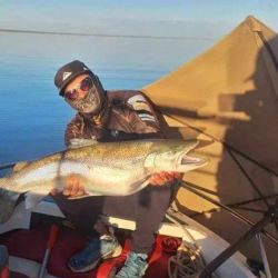 La noticia no tardó en viralizarse entre clubes, guías y grupos de aficionados, que celebraron la calidad del ejemplar y reafirmaron el atractivo que mantiene este espejo de agua del norte neuquino.