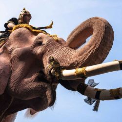 Un domador de elefantes monta un elefante pintado mientras marchan durante una procesión cerca del Gran Palacio para rendir homenaje a la exreina de Tailandia. Foto de Chanakarn Laosarakham / AFP | Foto:AFP