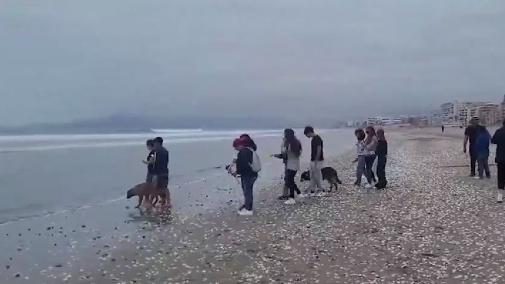 Desaparicion de Alejandro Cabrera Iturriaga 27112025