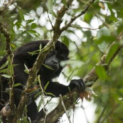 Volcán La Fortuna de Costa Rica.
