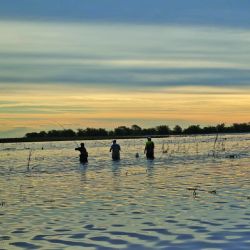 La tarde, después de las 5, fue el momento de mayor cosecha. En esa instancia capturamos más de 15 ejemplares, algunos de 3,5 kg. 