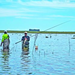 La tarde, después de las 5, fue el momento de mayor cosecha. En esa instancia capturamos más de 15 ejemplares, algunos de 3,5 kg. 