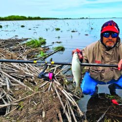 La tarde, después de las 5, fue el momento de mayor cosecha. En esa instancia capturamos más de 15 ejemplares, algunos de 3,5 kg. 
