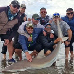 El último mes del año llega lleno de expectativas, con un pique que promete ir en ascenso y con la finalización de la veda para la pesca del pejerrey.
