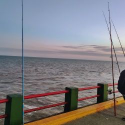 El último mes del año llega lleno de expectativas, con un pique que promete ir en ascenso y con la finalización de la veda para la pesca del pejerrey.