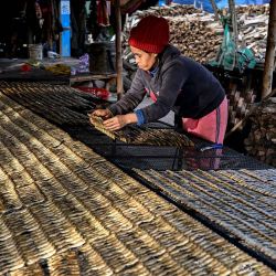 Una mujer prepara brochetas de pescado para asar en su casa, en la provincia de Kandal. Foto de TANG CHHIN Sothy / AFP | Foto:AFP