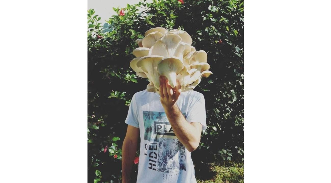 El Honguero: Una familia detrás de los sabores auténticos