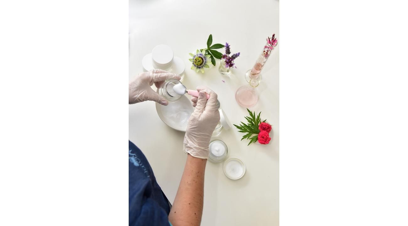 La energía secreta de las plantas: así pueden transformar tu salud