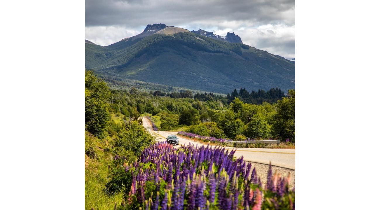 San Martín de los Andes: la joya escondida de la inversión inmobiliaria argentina