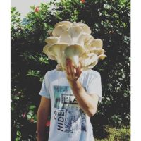 El Honguero: Una familia detrás de los sabores auténticos