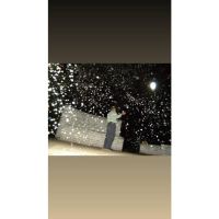 Sanaciones Miguelianas: El camino del amor y la verdad hacia un nuevo año de expansión