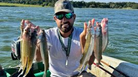 Los pejerreyes de La Brava: un desafío que enamora