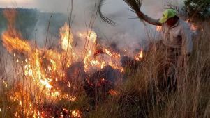 incendios en Corrientes