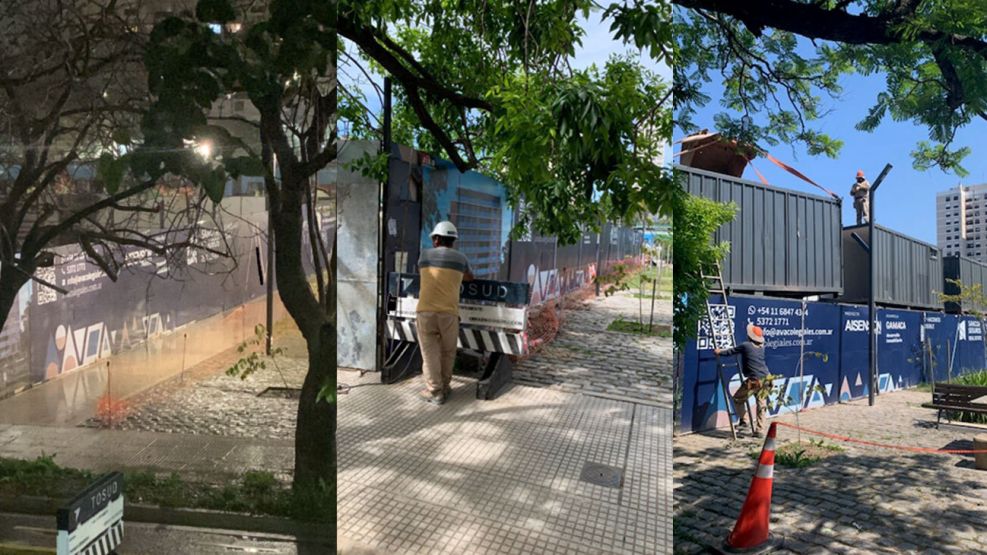 Paseo Colegiales 20251128