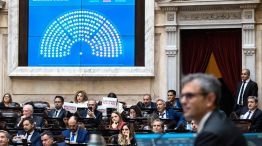 291125_menem_libertarios_diputados_hcdn_g