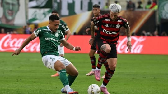 Flamengo vs Palmeiras