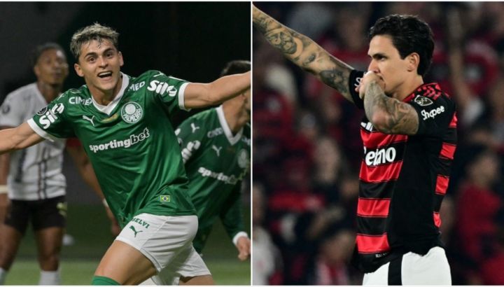 Palmeiras vs. Flamengo