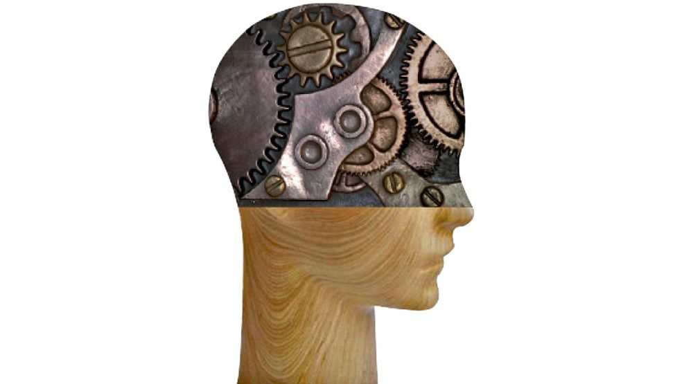 301125_cabeza_temes_g