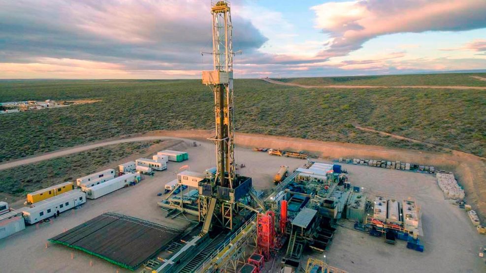 301125_vaca_muerta_cedoc_g