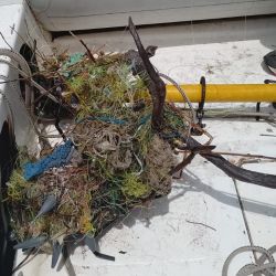 El Partido de La Costa tiene cinco muelles para pesca deportiva: en  San Clemente del Tuyú, Santa Teresita, Mar del Tuyú, La Lucila del Mar y Mar de Ajó.