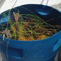 El Partido de La Costa tiene cinco muelles para pesca deportiva: en  San Clemente del Tuyú, Santa Teresita, Mar del Tuyú, La Lucila del Mar y Mar de Ajó.