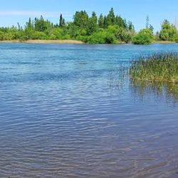 Neuquén vuelve a posicionarse como un punto clave del calendario de pesca patagónica, combinando deporte, formación y un entorno natural único sobre el Limay.