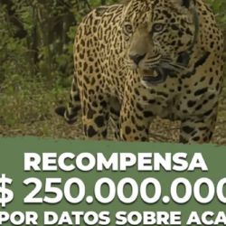 La recompensa es millonaria.