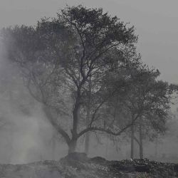 Un hombre camina junto a basura en llamas a lo largo de una carretera en medio de un denso smog en Lahore. Foto de Arif ALI / AFP | Foto:AFP