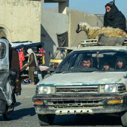 Un hombre afgano se sienta con una oveja sobre un vehículo en Kandahar. Foto de Sanaullah SEIAM / AFP | Foto:AFP