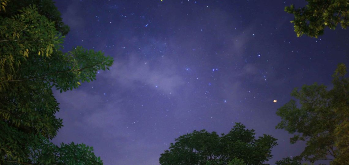 Cómo será el cierre energético del año para cada signo