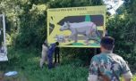 Confusión zoológica: el gobierno de Misiones pegó carteles de tapires con cola y sin trompa