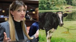 La legisladora bonaerense Lucía Klug 20251130