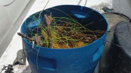 0112_muelle_sanclemente