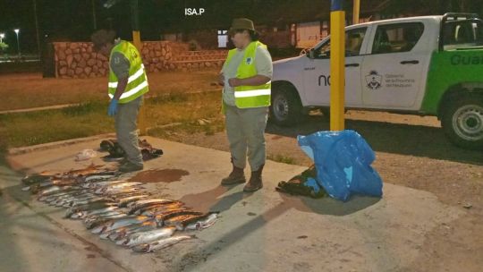 0112_truchas_furtivos