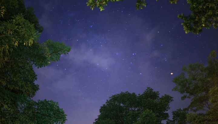 Cómo será el cierre energético del año para cada signo