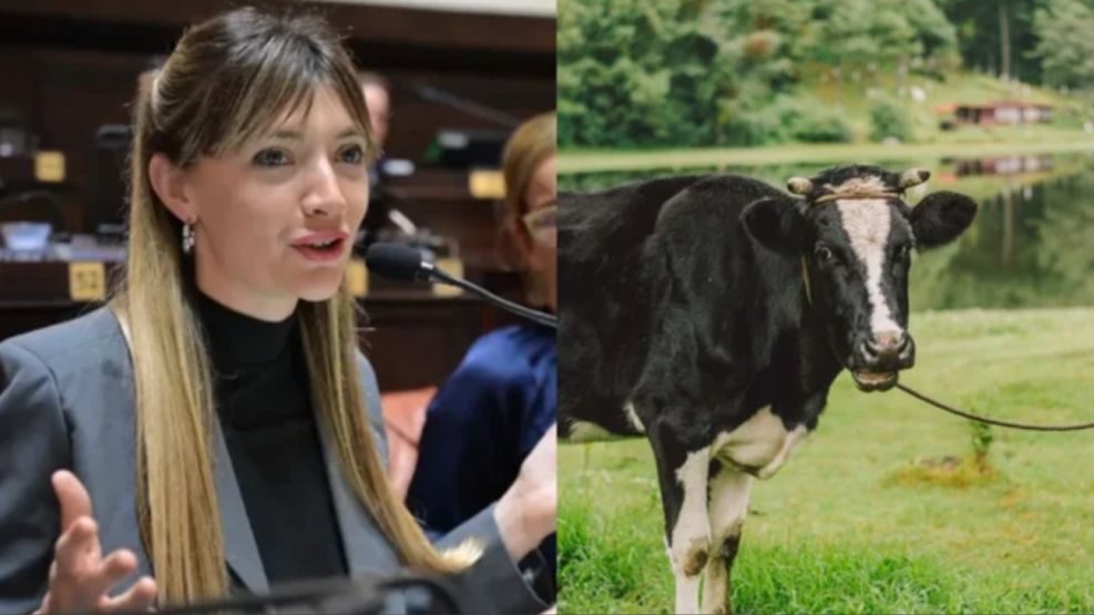 Una diputada aliada de Juan Grabois propone un impuesto a los gases de las vacas por su contribución al calentamiento global
