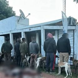 Los cazadores fueron aprehendidos in fraganti.