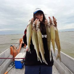 La laguna está muy bien poblada y conserva ejemplares realmente grandes, aunque la presencia de los inevitables dientudos —favorecidos por el aumento de temperaturas— complica por momentos el pique.