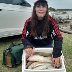 La laguna está muy bien poblada y conserva ejemplares realmente grandes, aunque la presencia de los inevitables dientudos —favorecidos por el aumento de temperaturas— complica por momentos el pique.