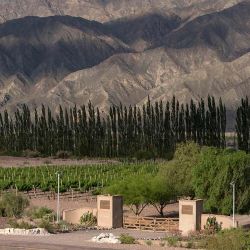 Bodega del Carmen en Delirio