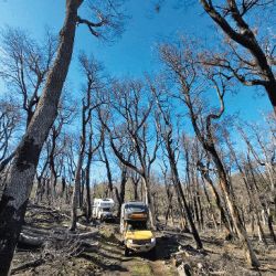 Overlanding by Mainumby4x4: así fue la primera travesía de motorhomes 4x4 de la República Argentina.