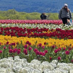 Overlanding by Mainumby4x4: así fue la primera travesía de motorhomes 4x4 de la República Argentina.