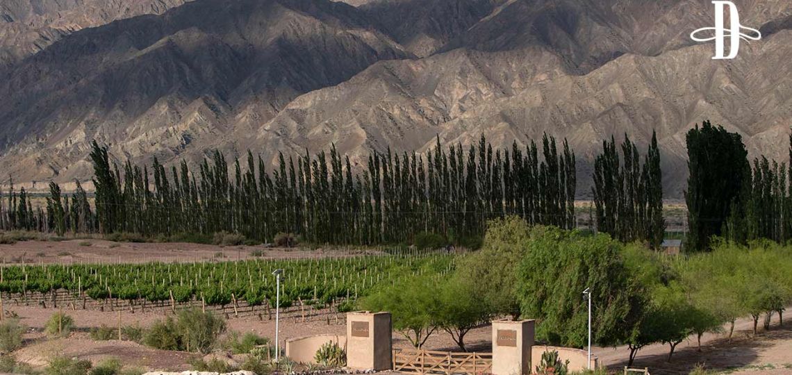 La inesperada riqueza de Calingasta