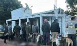 Detienen a una banda de cazadores furtivos con galgos en un campo de Pila