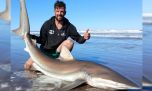 Tiburones, la atracción más grande del Mar Argentino